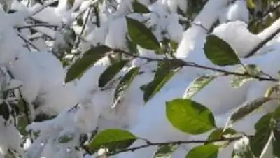 Zakon.kz, фото - Новости Zakon.kz от 07.07.2015 21:36