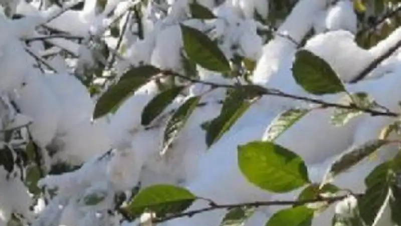 В Ненецком округе возобновили отопительный сезон