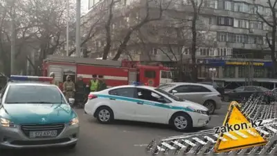 zakon.kz, фото - Новости Zakon.kz от 04.02.2019 11:55