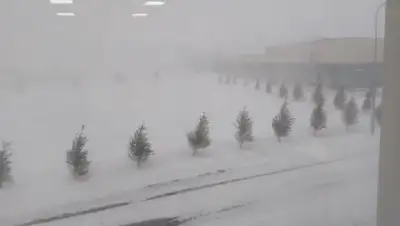 zakon.kz, фото - Новости Zakon.kz от 23.01.2020 14:02