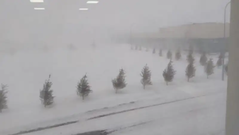 Астанчан попросили держаться подальше от столбов и деревьев