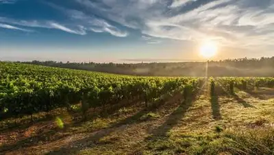 rbk.ru, фото - Новости Zakon.kz от 02.06.2021 12:42