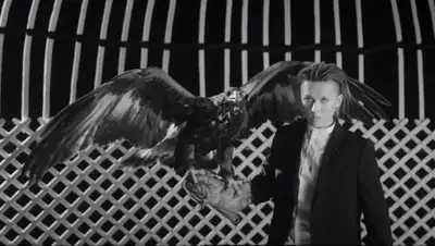 кадр из видео, фото - Новости Zakon.kz от 02.08.2019 11:20