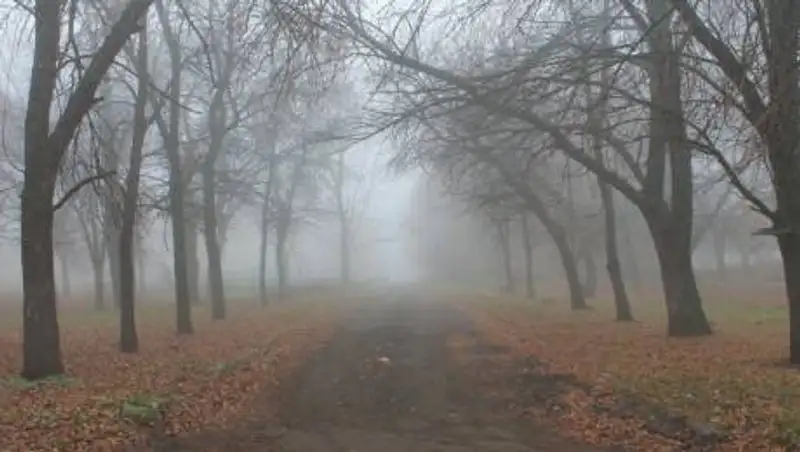 Прогноз погоды по территории Казахстана на 5 ноября