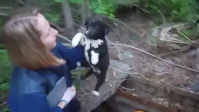 В Усть-Каменогорске ДЧС-ники спасли щенка упавшего в колодец