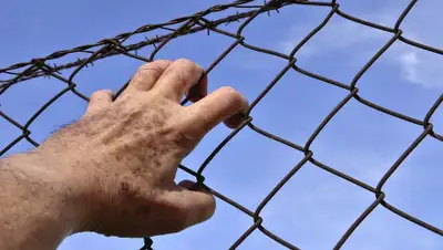 pixabay.com, фото - Новости Zakon.kz от 25.04.2019 23:13