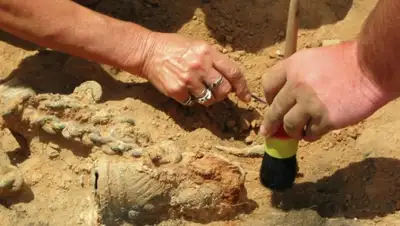 Zakon.kz, фото - Новости Zakon.kz от 01.12.2015 01:44