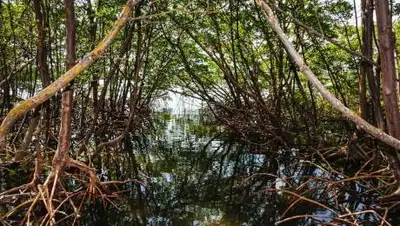 twitter/NanNan, фото - Новости Zakon.kz от 07.10.2021 19:48