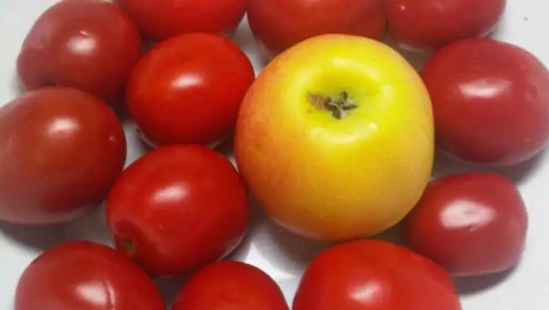 Управление Россельхознадзора не пропустило польские яблоки в Казахстан 