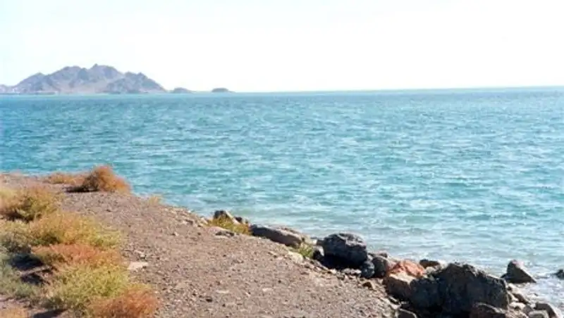 Для продвижения на внешние рынки РК нуждается в терминально-сервисной инфраструктуре