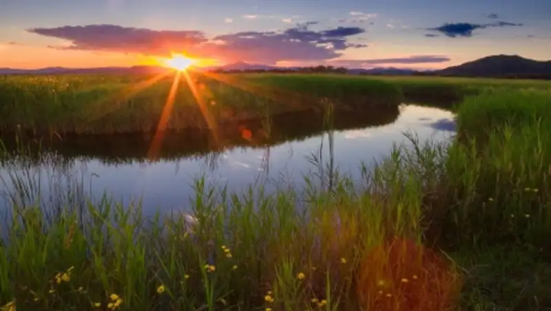 Похолодание в ближайшие дни доберется и до юга Казахстана