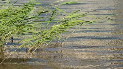 Zakon.kz, фото - Новости Zakon.kz от 13.09.2017 14:15