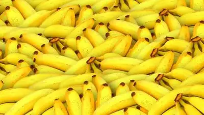 pixabay, фото - Новости Zakon.kz от 29.10.2021 09:26