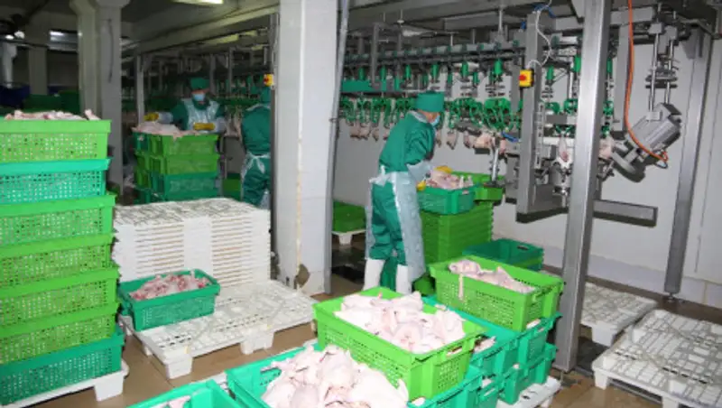 Свыше 60 тысяч тонн продовольственных запасов имеется в Жамбылской области