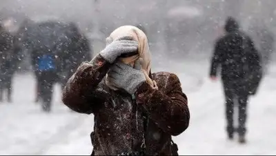 Литер, фото - Новости Zakon.kz от 03.12.2017 17:55