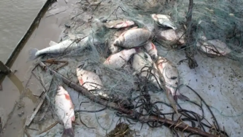 Акмолинские природоохранные полицейские проводят республиканскую операцию «Браконьер»