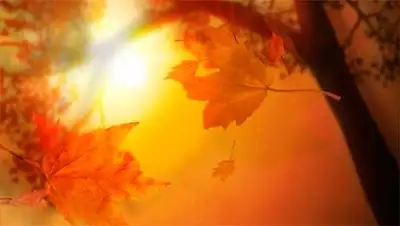 Zakon.kz, фото - Новости Zakon.kz от 26.11.2013 15:10