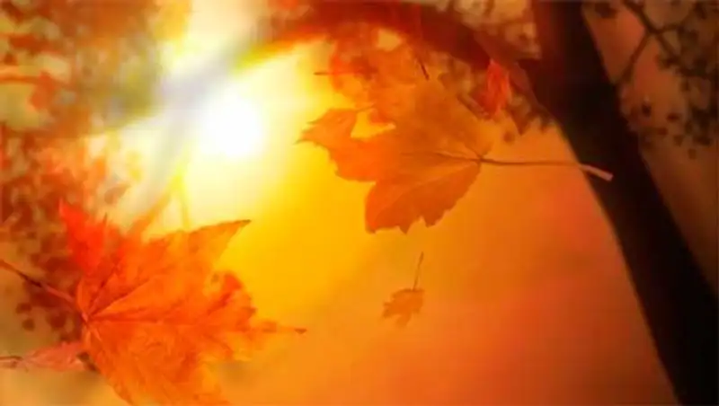 26 ноября в большинстве регионов страны сохранится погода без осадков