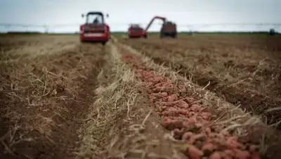 Zakon.kz, фото - Новости Zakon.kz от 11.09.2017 10:25