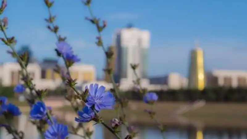 Кульгинов обратился к жителям Нур-Султана