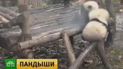 Zakon.kz, фото - Новости Zakon.kz от 13.02.2017 17:35