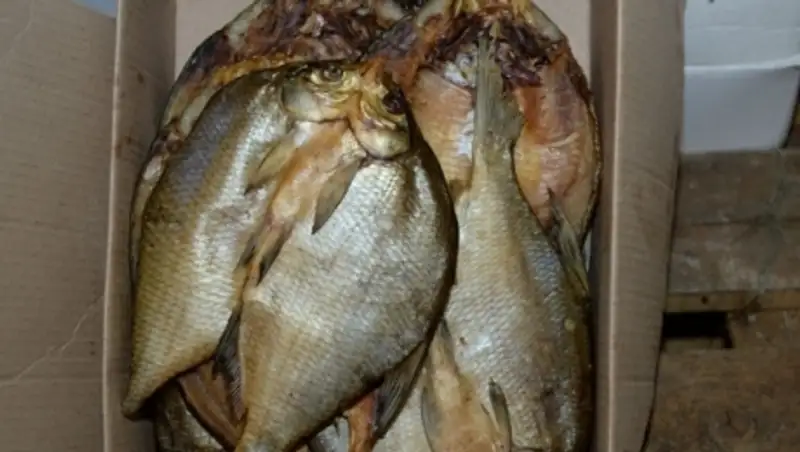 Предприятия Кызылординской области получили $2 млн от экспорта переработанной рыбы