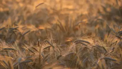 Украина, Россия, ООН, фото - Новости Zakon.kz от 18.04.2022 10:09