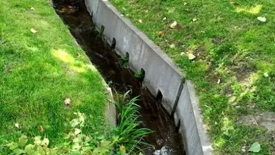 Zakon.kz, фото - Новости Zakon.kz от 08.07.2016 19:38