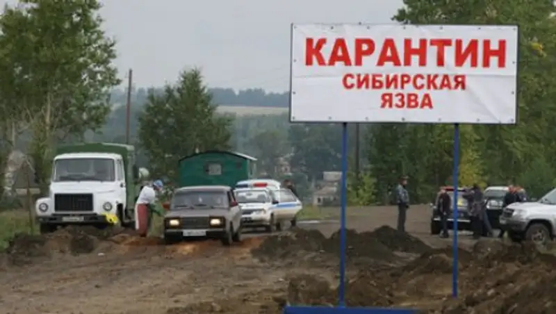 В Кыргызстане зафиксирована вспышка сибирской язвы