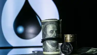 Zakon.kz, фото - Новости Zakon.kz от 23.05.2017 05:29