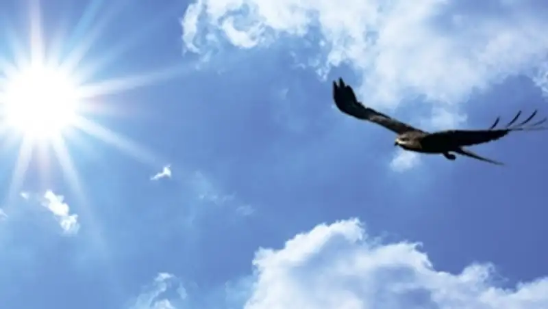 Казахстанцы в честь Дня Независимости будут отдыхать только два дня - 16 и 17 декабря