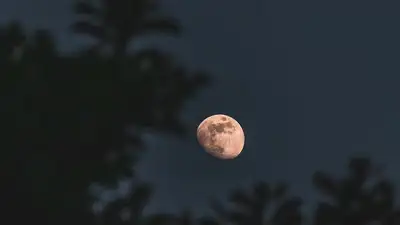 Луна, фото - Новости Zakon.kz от 23.09.2023 16:00