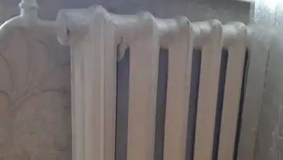 Zakon.kz, фото - Новости Zakon.kz от 03.02.2021 09:40