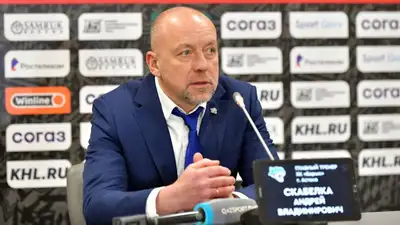 Хоккей Барыс Ак Барс, фото - Новости Zakon.kz от 02.02.2023 11:54