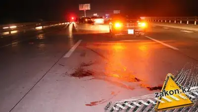 Zakon.kz, фото - Новости Zakon.kz от 09.04.2018 06:00