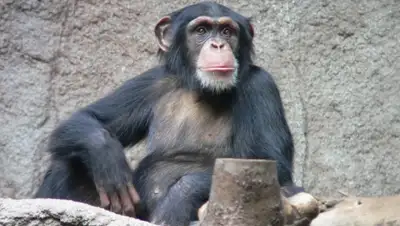 Zakon.kz, фото - Новости Zakon.kz от 29.06.2015 06:39