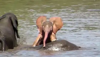 Zakon.kz, фото - Новости Zakon.kz от 15.08.2017 01:27