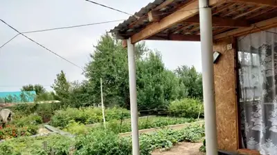 В Талдыкоргане целый дачный массив остался без поливной воды , фото - Новости Zakon.kz от 16.06.2023 17:26