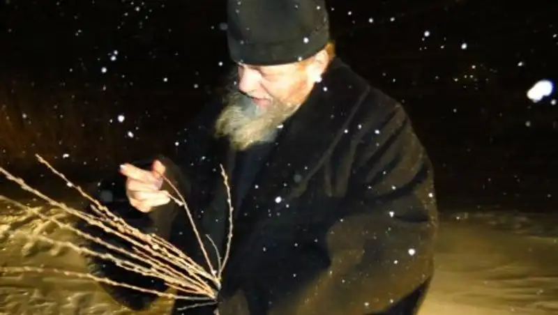 В Петропавловске распустились вербы