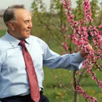 Zakon.kz, фото - Новости Zakon.kz от 11.07.2013 15:57