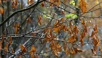 Zakon.kz, фото - Новости Zakon.kz от 13.08.2014 18:45