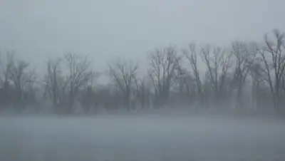 pixabay.com, фото - Новости Zakon.kz от 19.10.2020 16:35