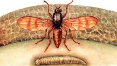 Zakon.kz, фото - Новости Zakon.kz от 05.08.2015 14:11