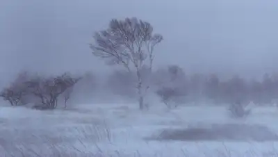 ukraina.ru, фото - Новости Zakon.kz от 18.02.2019 15:06