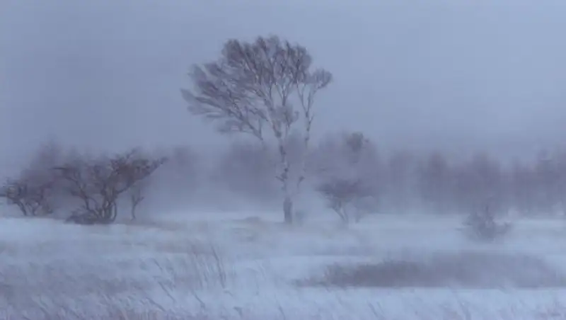 В трех областях Казахстана объявлено штормовое предупреждение