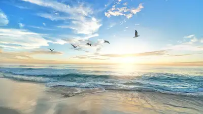 Токаев заявил о необходимости развития морской инфраструктуры, фото - Новости Zakon.kz от 01.09.2023 11:55