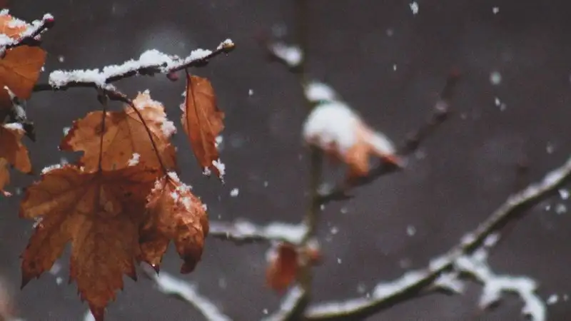 В Алматы пойдет снег – прогноз синоптиков до 10 ноября