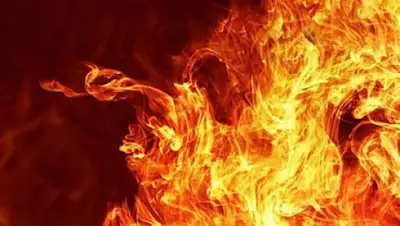 Zakon.kz, фото - Новости Zakon.kz от 25.10.2017 17:43