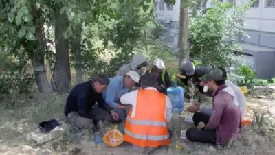 Zakon.kz, фото - Новости Zakon.kz от 10.08.2017 17:05