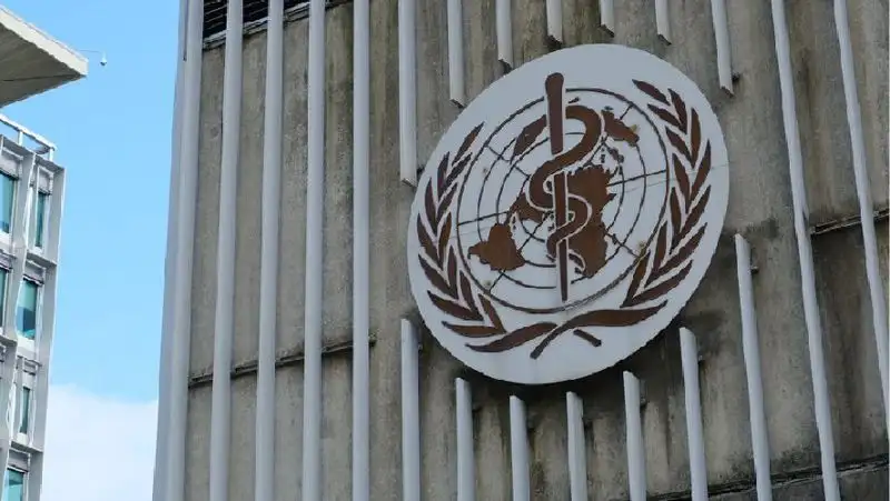 Более 35 тыс. случаев заболевания оспой обезьян выявили в 92 странах – ВОЗ